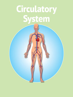 cover image of Human Body Circulatory System